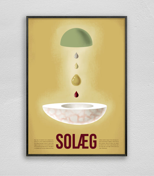 Solæg